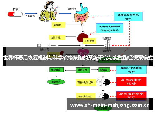 世界杯赛后恢复机制与科学轮换策略的系统研究与实践路径探索模式